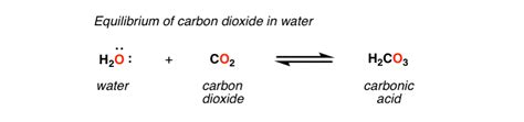 carbonic acid and water reaction